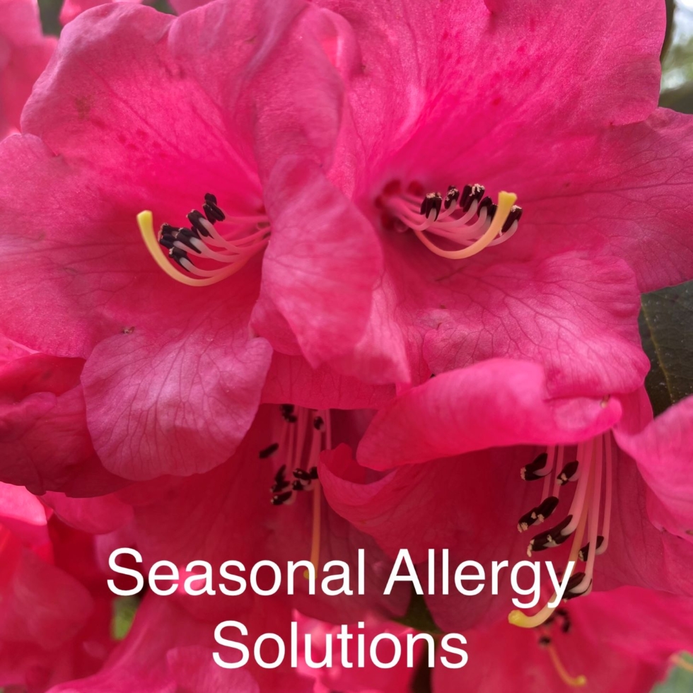 flowers and text saying seasonal allergy solutions