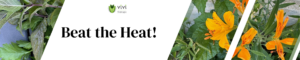 Beat the heat blog header acupuncture TCM